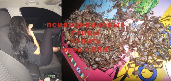 мдпв Бронницы