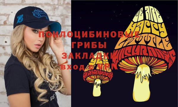 мескалин Бугульма