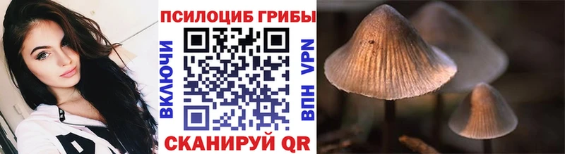 Галлюциногенные грибы мухоморы нарко площадка наркотические препараты Емва наркота
